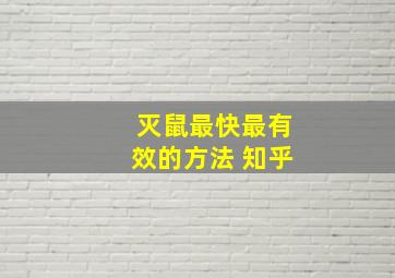 灭鼠最快最有效的方法 知乎